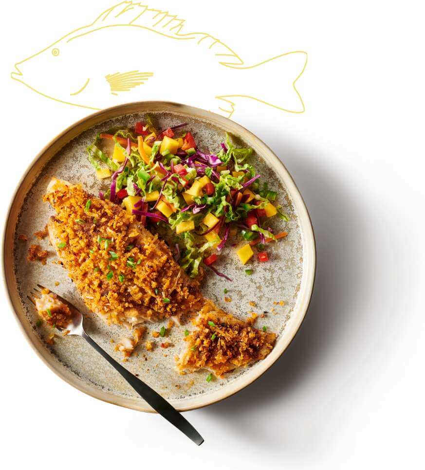 a plate with panko chili crusted fish filets
